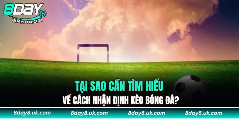 Tại sao cần tìm hiểu về cách nhận định kèo bóng đá?